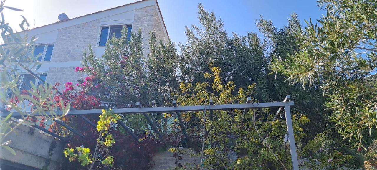 Πέτρα, Ελιά Και Λεβάντα Villa Tolo Exterior photo