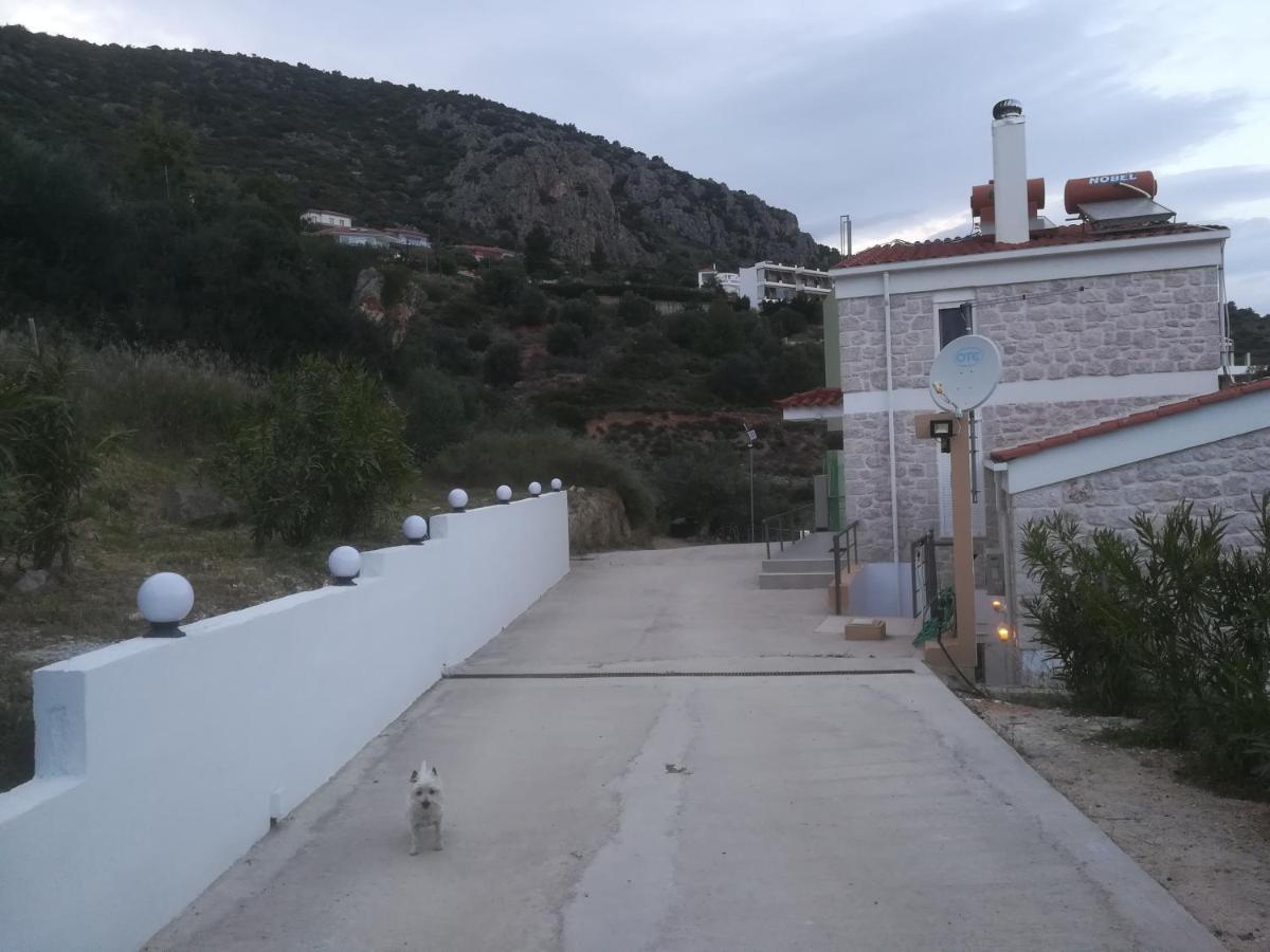 Πέτρα, Ελιά Και Λεβάντα Villa Tolo Exterior photo