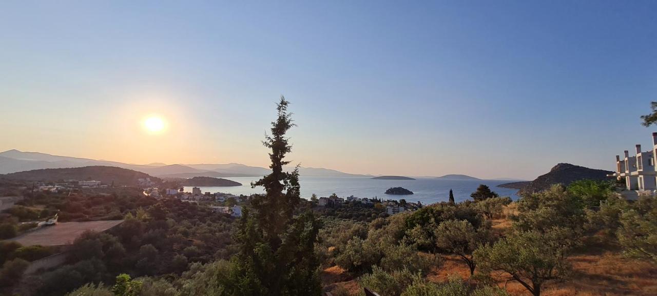 Πέτρα, Ελιά Και Λεβάντα Villa Tolo Exterior photo
