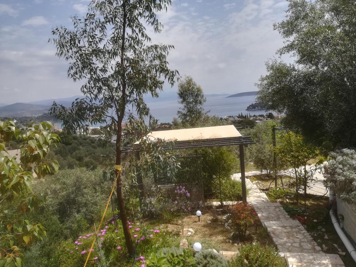 Πέτρα, Ελιά Και Λεβάντα Villa Tolo Exterior photo