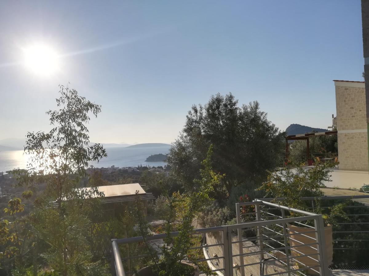 Πέτρα, Ελιά Και Λεβάντα Villa Tolo Exterior photo