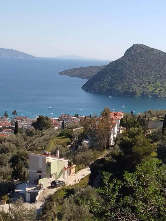 Πέτρα, Ελιά Και Λεβάντα Villa Tolo Exterior photo