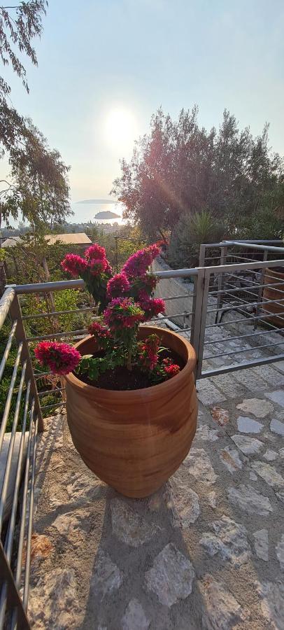 Πέτρα, Ελιά Και Λεβάντα Villa Tolo Exterior photo