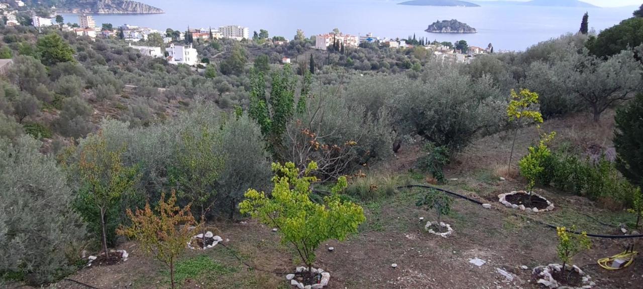 Πέτρα, Ελιά Και Λεβάντα Villa Tolo Exterior photo