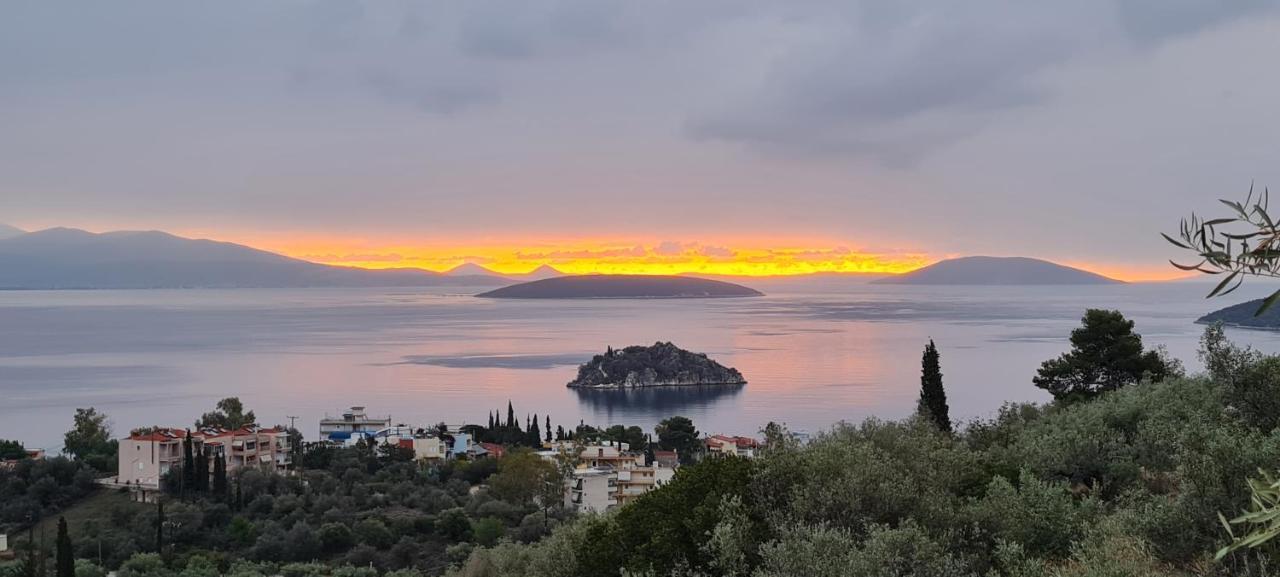 Πέτρα, Ελιά Και Λεβάντα Villa Tolo Exterior photo