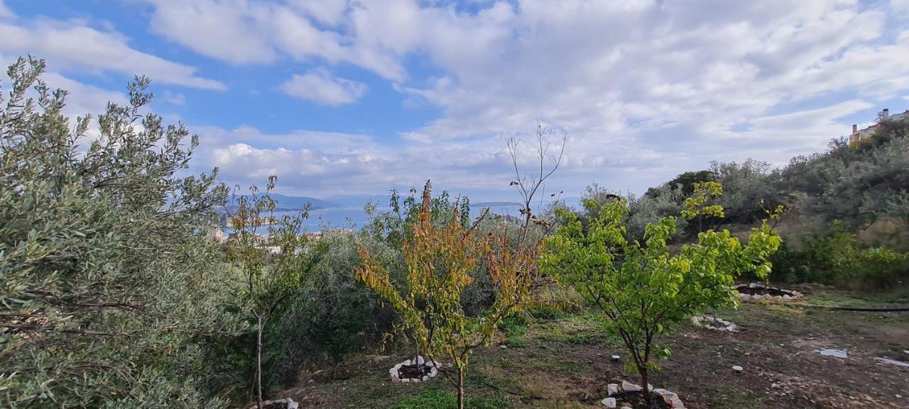 Πέτρα, Ελιά Και Λεβάντα Villa Tolo Exterior photo